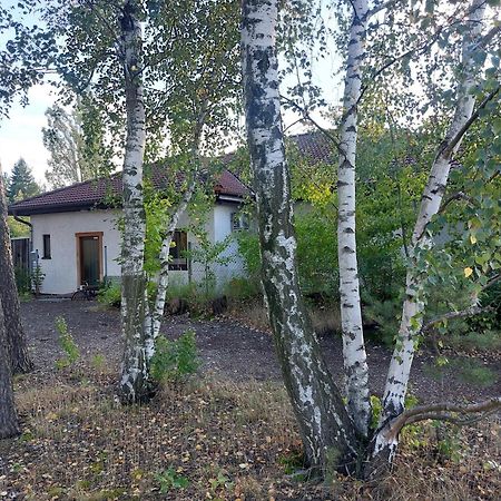 Apartment Gnubbel Am Wald Вайсвасер Екстериор снимка