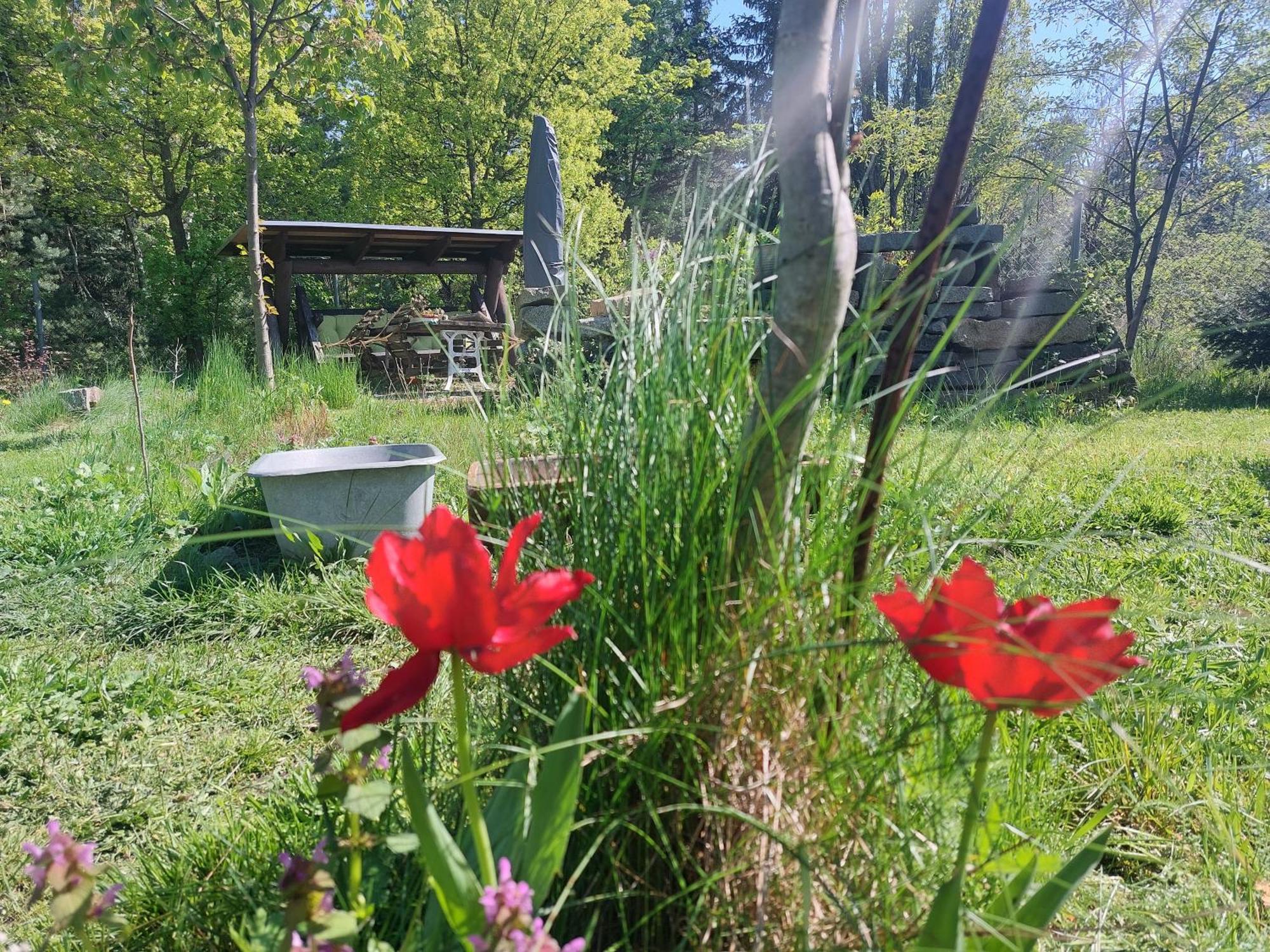Apartment Gnubbel Am Wald Вайсвасер Екстериор снимка